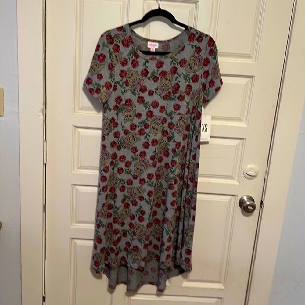 NWT Lularoe Disney Hi/lo dress